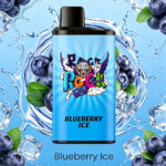 IGET Bar Pro 10000 Puffs - Blueberry Ice