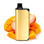 Alibarbar Ingot 9000 Puffs -Mango Peach